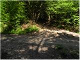 Planina (Dolnja Planina) - Hunting cottage on Planinska gora